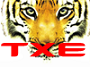 Tiger X Energy