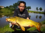 carp striker 69