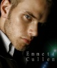 Emmett Cullen