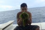 josephsiargao30