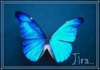 Mariposas Azules