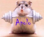 Apolo