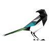 Virtual Magpie