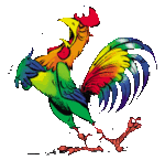 Rooster