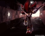 Shadow the hedgehog