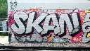 skan2010