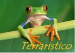 terraristico