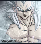 vegeta65