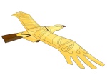 Elcondor