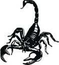 scorpion 69