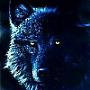 crywolf