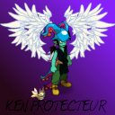 ken-protecteur