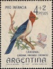 Cardenal Colorado