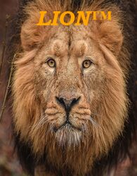 LION™