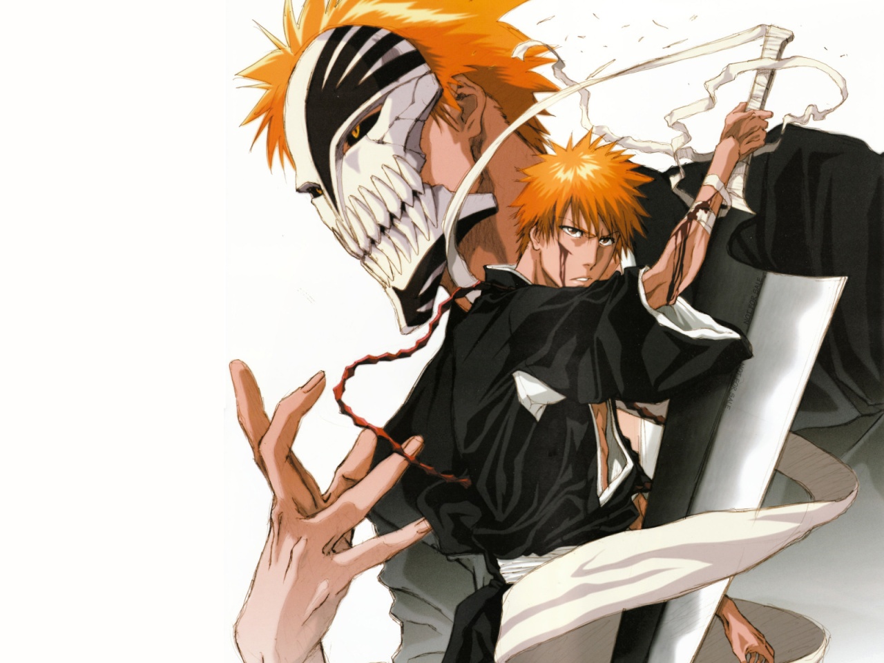 Ichigo and Hollow