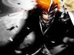 Ichigo Kurosaki Vizard