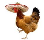 ElPolloLoco