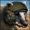 Nosebear