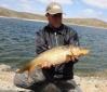 1º quedada silver-carp abril 2012 Resize53