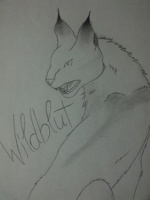 Wildblut