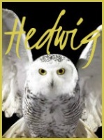 Hedwig