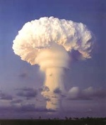 Nuclearshroom