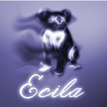 Ecila