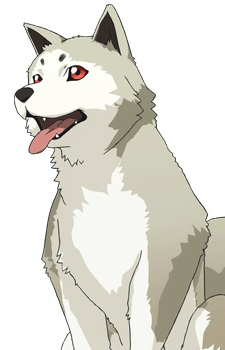 koromaru