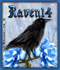 Raven14