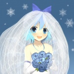 I will marry cirno