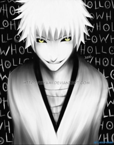 ♦♦Ichigo Kurosaki♦♦