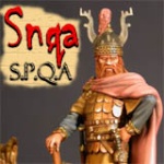 Snqa_SPQA