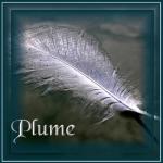 Plume