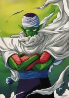 piccolo92 [ PEK ]