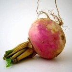 Rutabaga