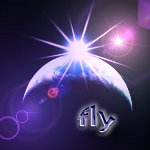 fly972