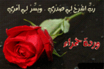 المعتصمة