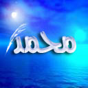 واحة الأسرة 1004-84