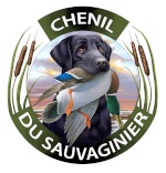 chenil du sauvaginier