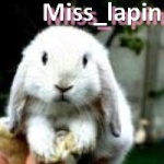 Miss_lapin