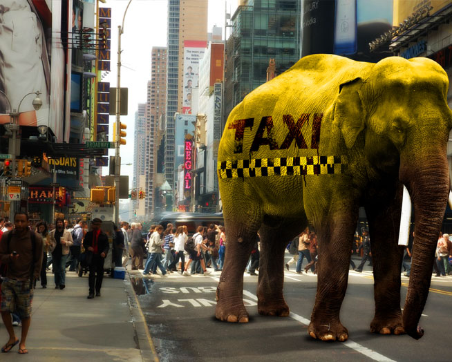 taxiphant