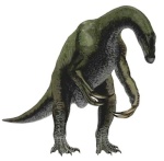 Dino