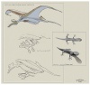 [Faber Files] Mata Nui Fauna concepts (animaux)