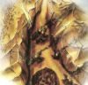 Illustration de Bionicle: World montrant une vue aérienne de Karzahni (les illustrateurs étant Jeremy Brazeal,  John McCormack et Toby Dutkiewicz).