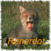 Renardot