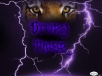 Storm_tiger