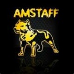 amstaff