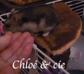Chloé & cie