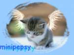 minipepsy