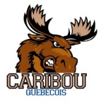 Caribou